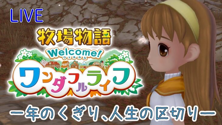 【牧場物語Welcome!ワンダフルライフ】スノーフォールウェディング【リメイクゲーム実況】