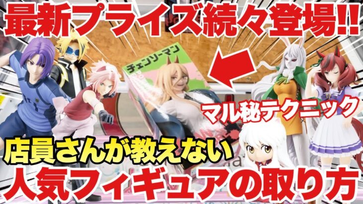 【クレーンゲーム】最新プライズフィギュア続々登場！店員さんが教えない人気フィギュアの取り方！基本攻略マル秘テクニック！チェンソーマン スパイファミリー 僕のヒーローアカデミア