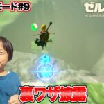 【ゼルダの伝説】ブレスオブザワイルド　マスターモード#9　｢裏ワザ披露｣