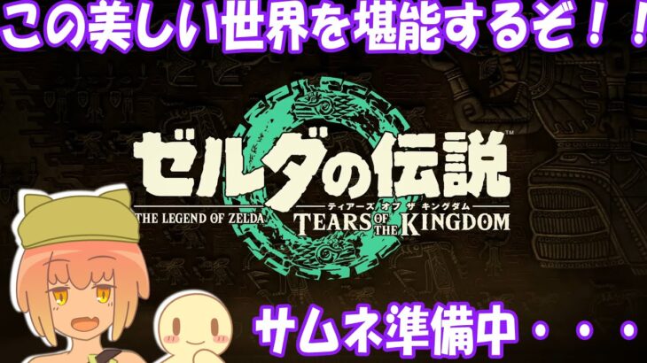 【ゲーム実況】ゼルダの伝説 ティアーズ オブ ザ キングダム＜10＞【桃鮭ララウ】