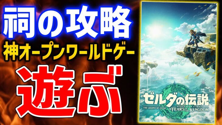 【ゼルダの伝説 ティアキン】いい加減、祠とか色々攻略進める配信【Zelda Tears of the Kingdom】