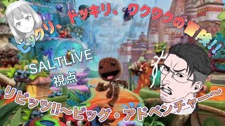 【ゲーム実況】リビッツ！ビッグ·アドベンチャー feat. ノエル