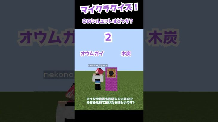 【マイクラクイズ】このシルエットはどっち？【マイクラ】【minecraft】【ゲーム実況】【vtuber】　#shorts