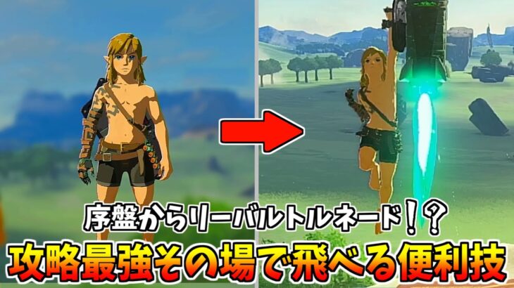 【ティアキン】序盤から使える上昇できる便利技！！【ゼルダの伝説 ティアーズ オブ ザ キングダム】