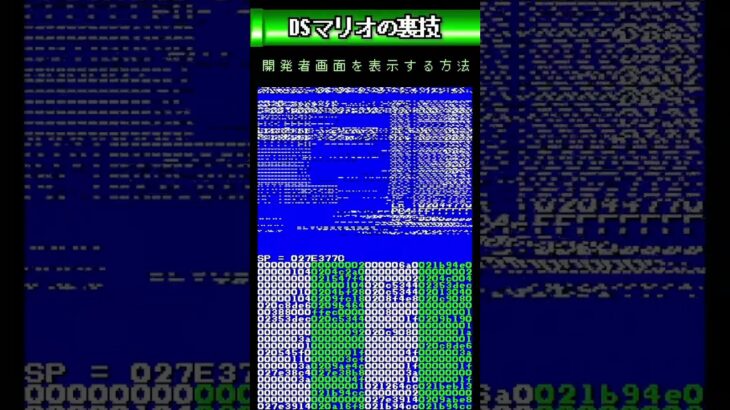 DSマリオで開発者画面を表示させる裏技 #バグ