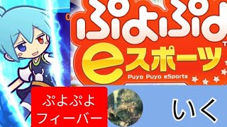 【ぷよぷよeスポーツ vsRaguna】ぷよぷよフィーバー30先 (シグ使用）