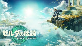 【ゲーム実況】ゼルダの伝説 ティアーズ オブ ザ キングダム#９【ゼルダの伝説】