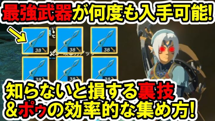 【ティアキン】序盤で裏技！最強武器を何度入手&ポゥの効率的な集め方！【ゼルダの伝説】