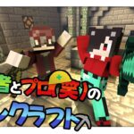 【マインクラフト】えんだーぱーるのその先へ【ゲーム実況／男性VTuber】