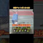 【クレーンゲーム攻略】ベネクスのufoキャッチャーにあるチャチャチャをゲットした #shorts