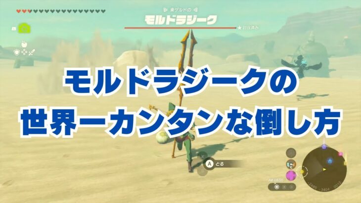 初心者必見！モルドラジークカンタン撃退法！【ティアキン】裏技・攻略