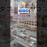 ［クレーンゲーム攻略］GiGOでワーコレ攻略 ウタコレ初日コンプ 正解は縦ハメ