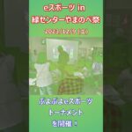 【相模原eスポーツ協会】相模原市立緑第一障害者地域活動支援センターイベント　緑センターやまのべ祭♪