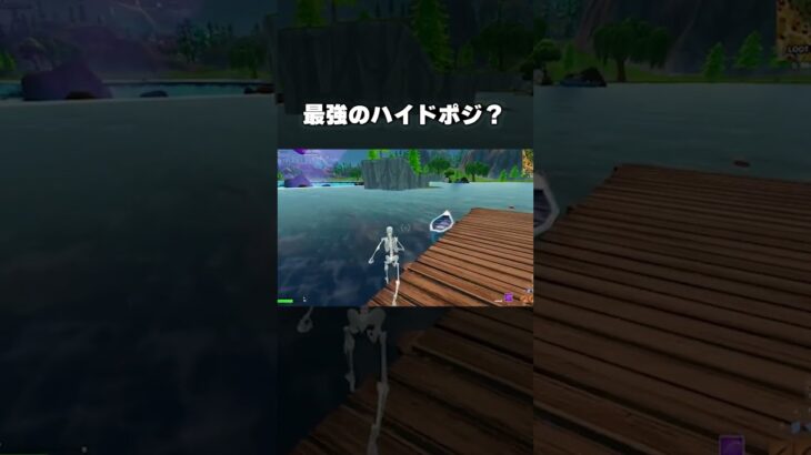 絶対にバレない最強のハイドポジ ！#フォートナイト #fortnite #裏技