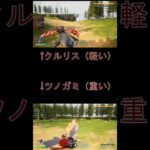 【裏技】パルを空に打ち上げる方法　パルワールド　#palworld #ゲーム実況 #パルワールド #裏技