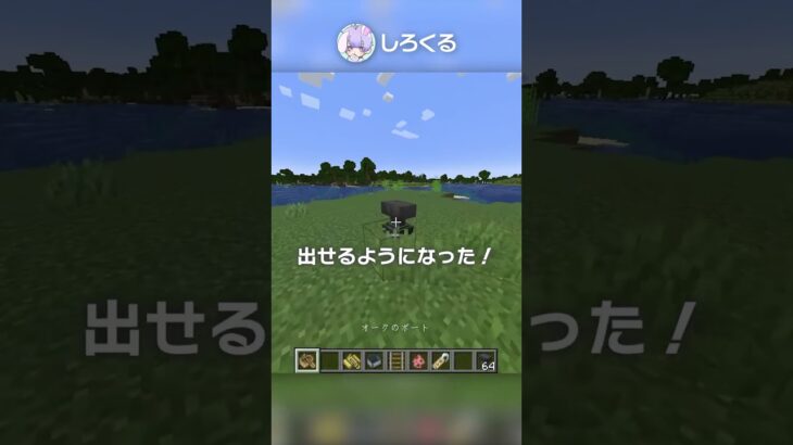 【サバイバルで】浮いてる文字を出す裏技？！【マイクラ豆知識 解説 裏技】