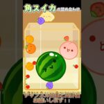 メロン側100％【スイカゲーム】#ゲーム実況 #スイカゲーム #outerspace #shorts