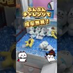 確率機の裏技攻略！ぶんぶんチャレンジでクレーンゲーム確率無視の取り方！ #おぱんちゅうさぎ #んぽちゃむ ぬいぐるみ #ufoキャッチャー