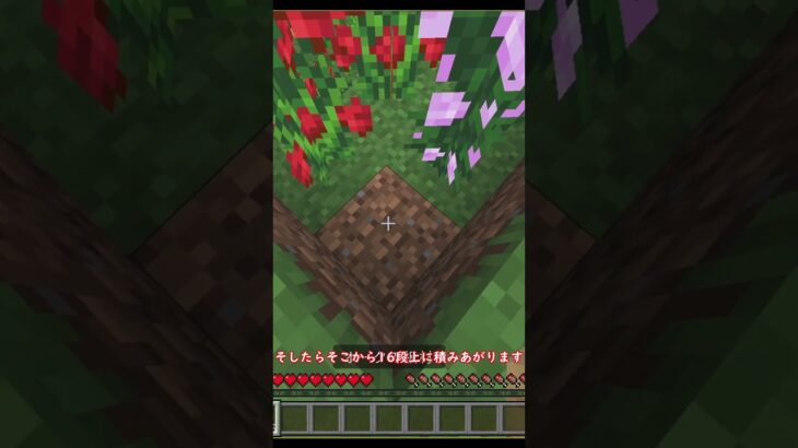 99 9%の人が知らないマイクラの裏技【ネタ】 #minecraft #まいくら #霊夢と魔理沙#マイクラ #ゆっくり実況 #裏ワザ