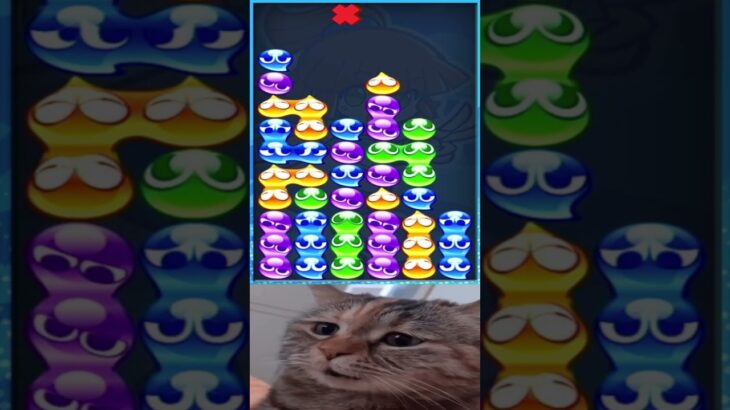 chipi chipi chapa chapa #puyopuyoesports #ぷよぷよeスポーツ #猫ミーム