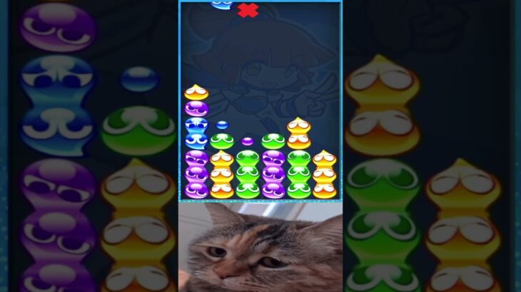 chipi chipi chapa chapa #puyopuyoesports #ぷよぷよeスポーツ #猫ミーム