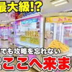 【ゲーセン攻略】地域最大級のゲーセンと最高の設定を求めてここまでやってきました【クレーンゲーム】#クレーンゲーム #夾娃娃機 #clawmachine #arcade