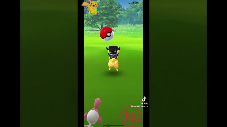 （ポケモンGO）必ず相棒が跳ね返す裏ワザ⁉️