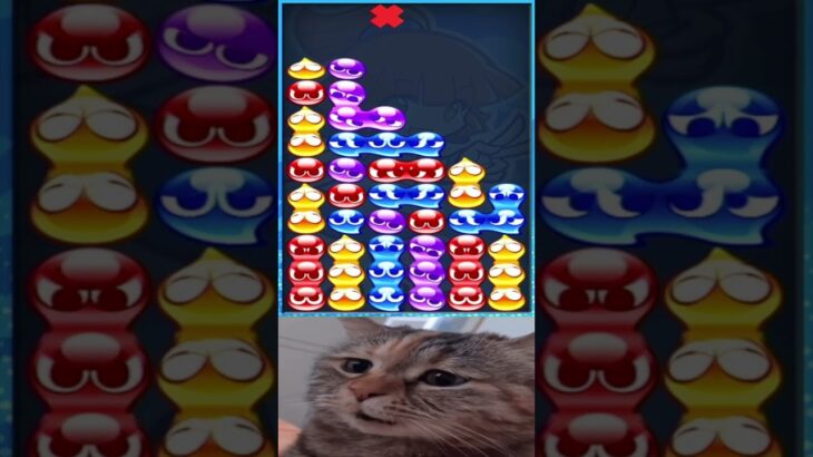 chipi chipi chapa chapa #puyopuyoesports #ぷよぷよeスポーツ #猫ミーム