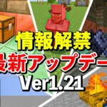 【最新情報1.21】絶対に見逃したくないアップデート情報まとめ【マイクラ】 【SNAPSHOT 24W19B】