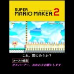 自ら炎に飛び込む… #マリオメーカー2 #mariomaker2 #マリメ2 #ゲーム実況 #shorts