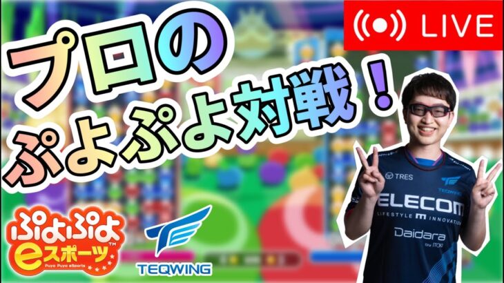 プロのぷよぷよ対戦！43【ぷよぷよeスポーツ/縦型配信 】