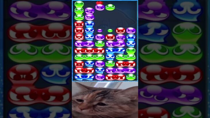 chipi chipi chapa chapa #puyopuyoesports #ぷよぷよeスポーツ #猫ミーム