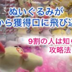 【攻略】今日から使えるぬいぐるみ獲得のコツ #クレーンゲーム攻略 #クレーンゲーム #ゲームセンター