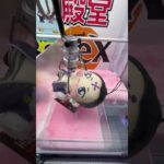 [完全攻略]人気ぬいぐるみを100円で取れる裏技があるらしい… #ufoキャッチャー #ゲームセンター #ufoキャッチャー攻略 #クレーンゲーム #ゲーセン #ユーフォーキャッチャー