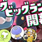 【ビッグビッグラン】ガチ勢4人でオカシラ連合攻略しにいくぞーー！！！【おりがんけんぽん】【スプラトゥーン3/サーモンランNEXTWAVE】