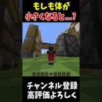 小人になったらできること!!!#Minecraft #アップデート #裏技