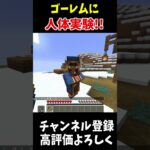 アイアンゴーレムに人体実験してみた!!!#Minecraft #アップデート #裏技