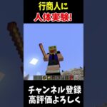 行商人に人体実験してみた!!!#Minecraft #アップデート #裏技