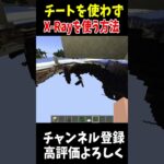 チート無しでX-Rayを使う方法!!#Minecraft #アップデート #裏技