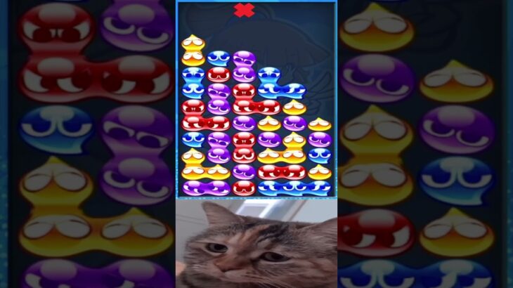 chipi chipi chapa chapa #puyopuyoesports #ぷよぷよeスポーツ #猫ミーム