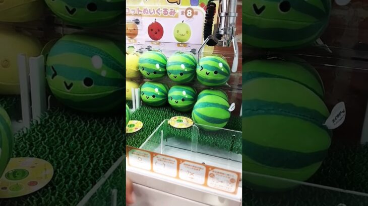 すいか欲しいんよ🍉#すいかゲーム #クレーンゲーム攻略 #クレーンゲーム景品 #クレーンゲーム #ゲームセンター #ぬいぐるみ #ゲーセン