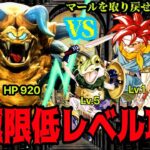 【クロノトリガー】バグなし極限低レベル攻略 PT平均Lv12でクリア目指す！【ヤクラ編】