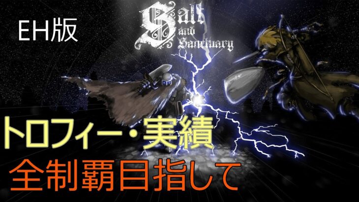 [ゲーム攻略日記]　もう一度Salt and Sanctuary トロコン目指して Part4