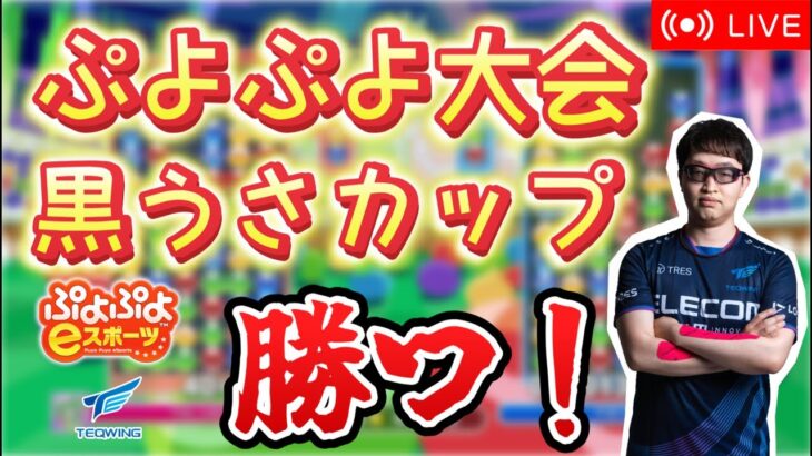 【大会】黒うさカップ【ぷよぷよeスポーツ】【縦型配信 】