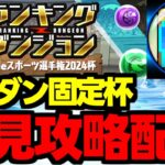 【生放送】ランダン初見攻略配信！全国eスポーツ選手権2024杯【パズドラ】