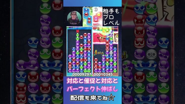 対応と催促と対応とパーフェクト伸ばし【ぷよぷよeスポーツ】#shorts