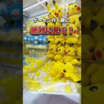 誰でもできる裏技|ﾉo･)ｺｯｿﾘ #クレーンゲーム #クレゲ  #clawmachine  #ゲームセンター