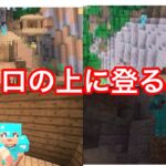 【裏技】バトルミニゲームの入り江のドクロの上に登る方法をご紹介します！！