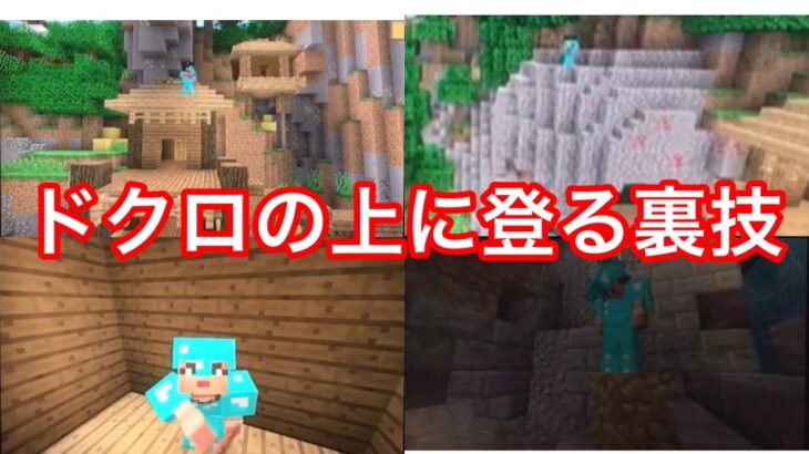 【裏技】バトルミニゲームの入り江のドクロの上に登る方法をご紹介します！！