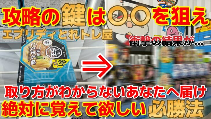 【クレーンゲーム】攻略の鍵はここだ!!取り方がわからないあなたへ届け!!攻略した結果衝撃の結末に…!!【エブリデイとれトレ屋 桶川店】